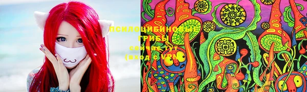 скорость Ладушкин
