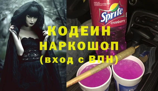 скорость Ладушкин