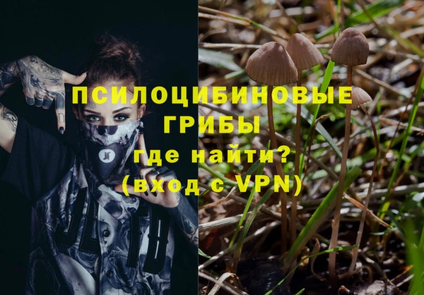 скорость Ладушкин