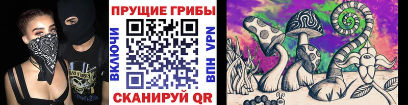 Псилоцибиновые грибы Cubensis  Купить  Рыбинск 